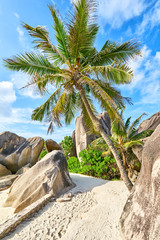 Naklejka na ściany i meble Anse Source d'Argent, granite rocks at beautiful beach on tropi
