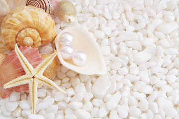 Seashells and pearls with starfish on white stones background