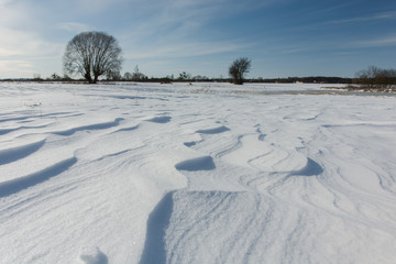 Snowdrifts on the field