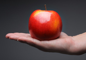 Female hand in closeup holding red apple