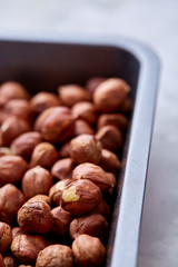 Hazelnut on cooking tray over white background, selective focus, shallow depth of field, top view.