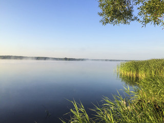 landscape of the forest river bank