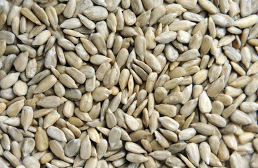 Sunflower Seeds Texture As Background.