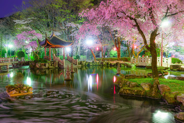 Flower Raft of Japan and China Friendship Garden