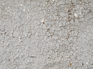 Texture of natural wood planks with cracked gray paint, abstract background.