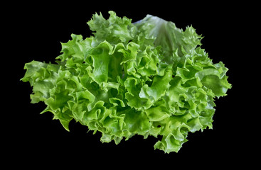 Green salad isolated on black background. Fresh lettuce leaf.