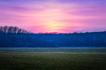 Naklejka premium Colorful spring sunset