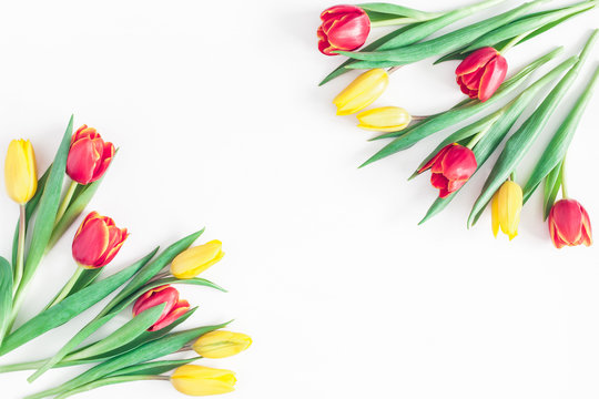 Flowers composition. Frame made of tulip flowers on white background. Flat lay, top view, copy space