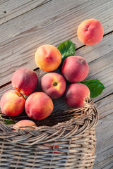 Fresh peaches fruits with leaves  on wooden rustic background.