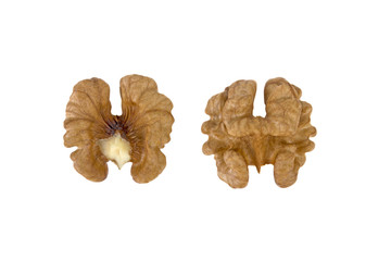 peeled walnut isolated on white background