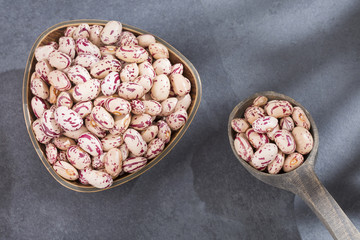 Raw pinto bean - Phaseolus vulgaris