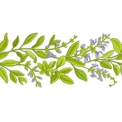 sage branch  vector pattern