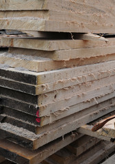 Rough cut timber pile