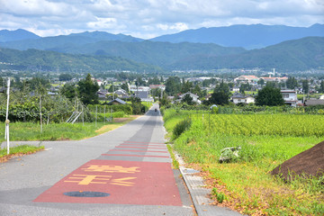 田舎の長く延びる道