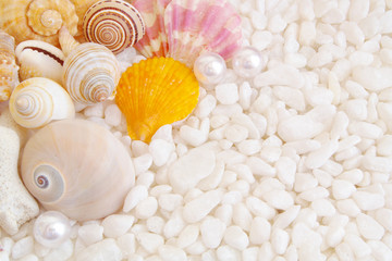 Sea and ocean beach concept