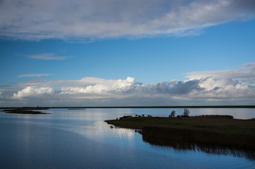 Deich bei Greetsiel, Niedersachsen, Deutschland