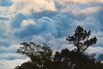 Beautiful nature sunset landscape. Ears of golden wheat close up. Rural scene under sunlight. Summer background of ripening ears of agriculture landscape. Natur harvest. Wheat field natural product.