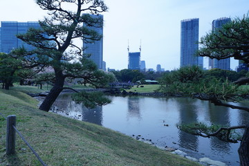 Obraz premium 浜離宮庭園の春