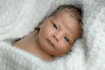 portrait of a newborn on white plaid.