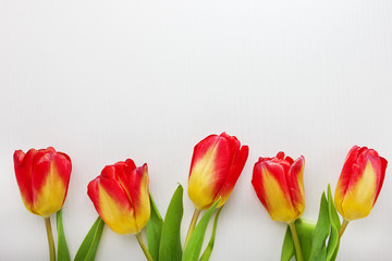 Fototapeta premium Red yellow tulips on white wooden background with copyspace