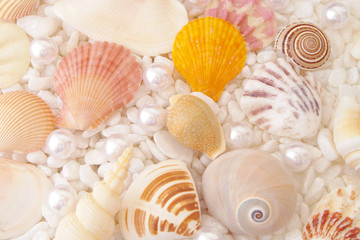 Seashells and pearls on mixed with stones