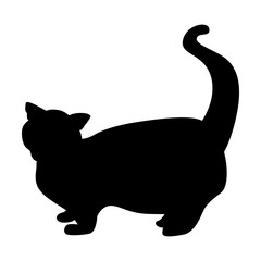 Cat black simple icon