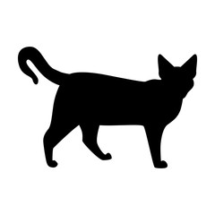 Cat black simple icon