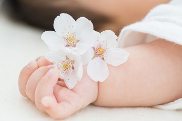 Obraz na płótnie Canvas 赤ちゃんの手と桜