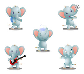 lovely cute male baby elephant