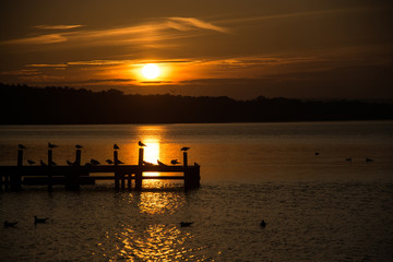 Sonnenuntergang am Steinhuder Meer, Deutschland