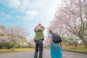 ・桜・家族旅行・赤ちゃん