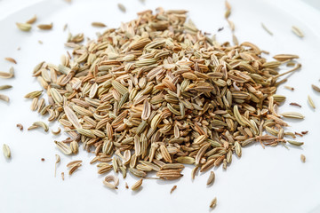 Seeds of fennel plants