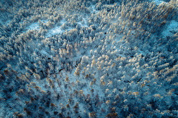 Winter from above