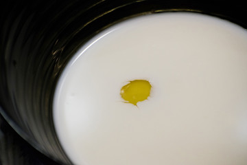 Egg and milk. Raw egg with milk.