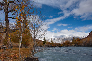 Russia. The South Of Western Siberia. Autumn in the Altai Mountains near the natural Park 