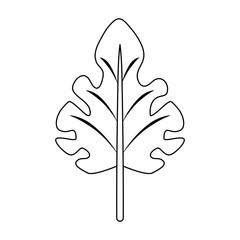 Leaf eco symbol vector illustration graphic design