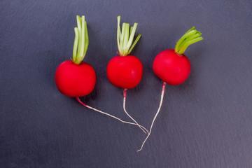 Red radishes on dark background. Three delicious redishes, top view. Salad tasty vegetable.
