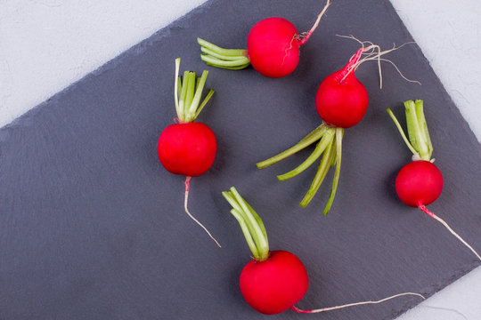 Five radishes on slate, top view. Red organic radishes with a bunch of green tail, copy space.