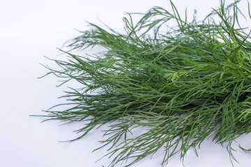 Fresh dill leaves close up. Twigs of green dill on light background. Culinary and food concept.