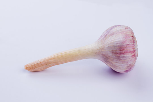 Fresh young pink garlic with a long stem. Fresh organic garlic close up. Natural remedy concept.