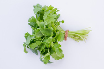 Close up bunch of fresh garden parsley. Ripe parsley herb on light background. Nutritious and aromatic plant.