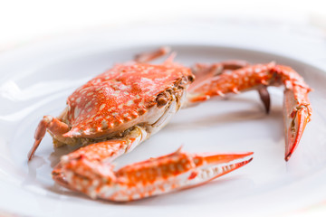 cooked blue crab on isolated white dish background