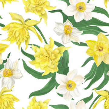 Watercolor painting seamless pattern with daffodil flowers. Spring wallpaper