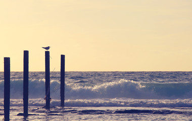 background of beach and sea at sunset colors.