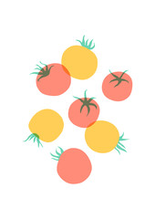 Tomato kitchen poster. Set of hand drawn tomatoes on the white background
