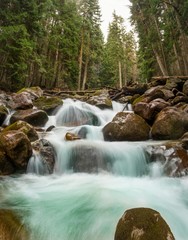 cascades of a mountain river, streams of clean water run through large stones surrounded by coniferous trees in early spring