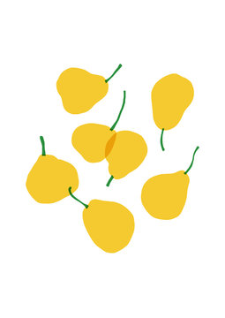 Set of flat yellow pears. Simple fruit illustration