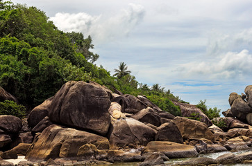 jungle, rocks and beach