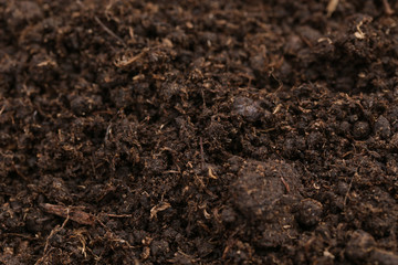 Black soil background
