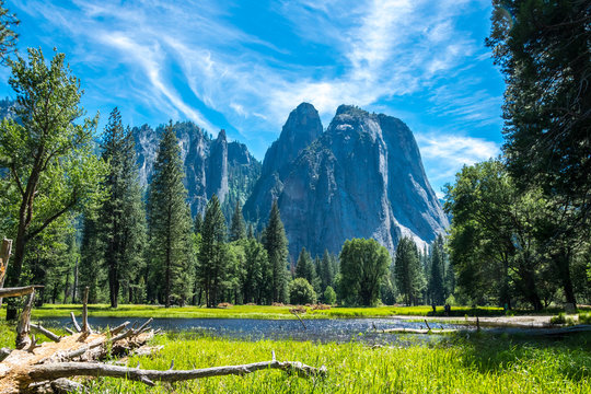 Green summer valley of Yosemite. Yosemite National Park, California, USA